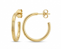 Silver Hoops